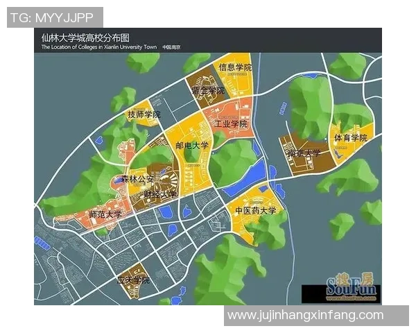 南京乒乓球队的阵地战体系与战术解析探讨 南京乒乓球队的阵地战体系与战术解析探讨