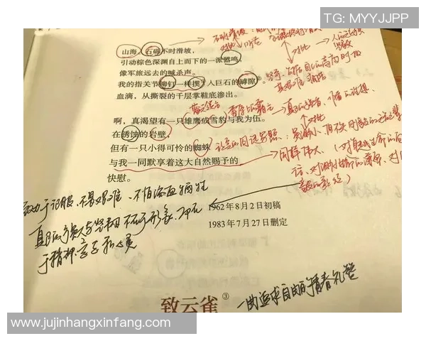 张帆的奋斗历程与成长故事：从平凡到卓越的启示与反思